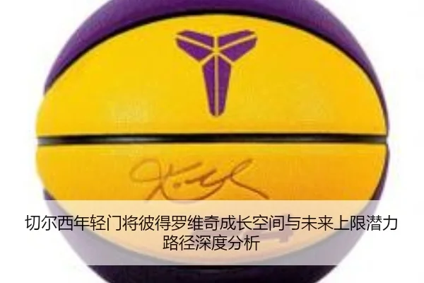 切尔西年轻门将彼得罗维奇成长空间与未来上限潜力路径深度分析